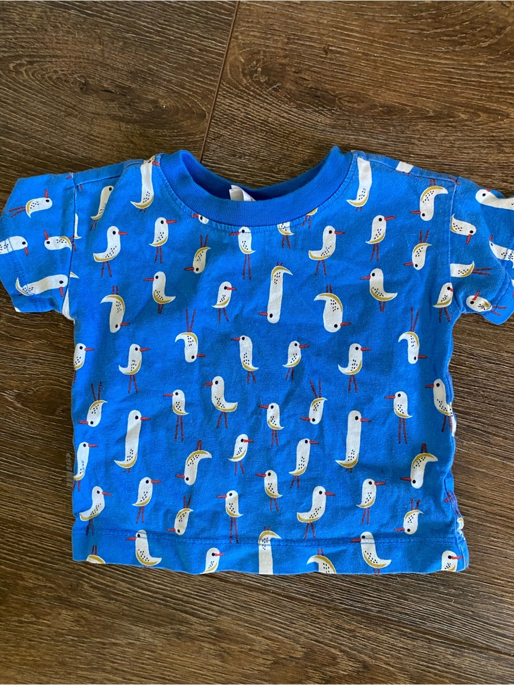 Hanna Andersson Bright Blue Seagull Short Sleeve Tee